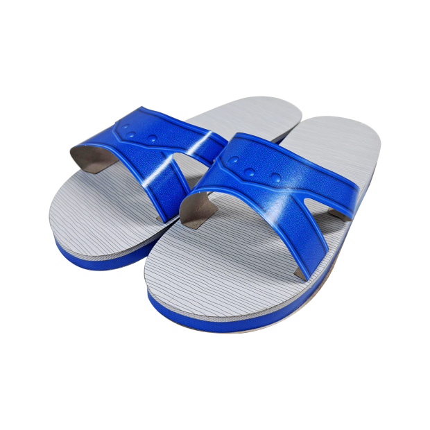 藍白拖.png
